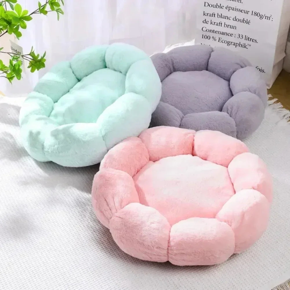 Cat Mat for Comfortable Sleep Pet Bed-ROROZ PETSUPPLIER