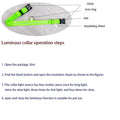 Nylon LED Night Safety Flashing Glow In The Dark Dog Leash-ROROZ PETSUPPLIER