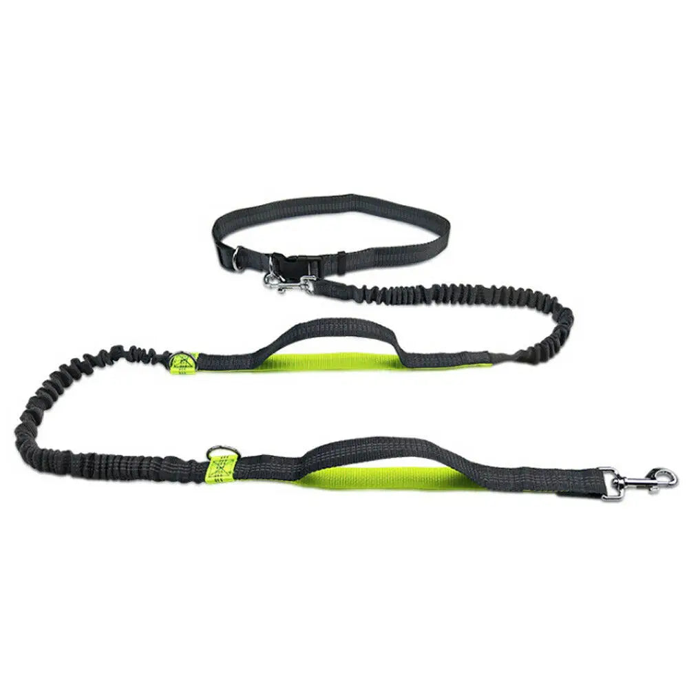 Reflective Leash Traction Rope Pet Dog Running Belt-ROROZ PETSUPPLIER