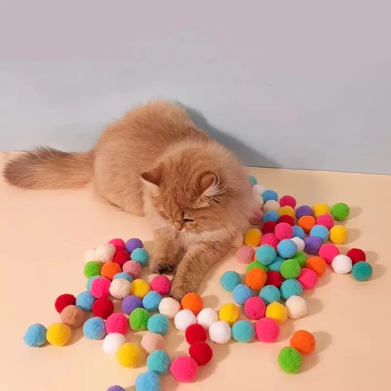 Interactive Launch Training Cat Toys-ROROZ PETSUPPLIER