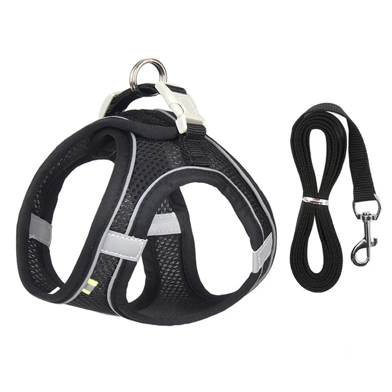 Harness Leash Set for Small Dogs-ROROZ PETSUPPLIER