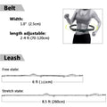 Reflective Leash Traction Rope Pet Dog Running Belt-ROROZ PETSUPPLIER