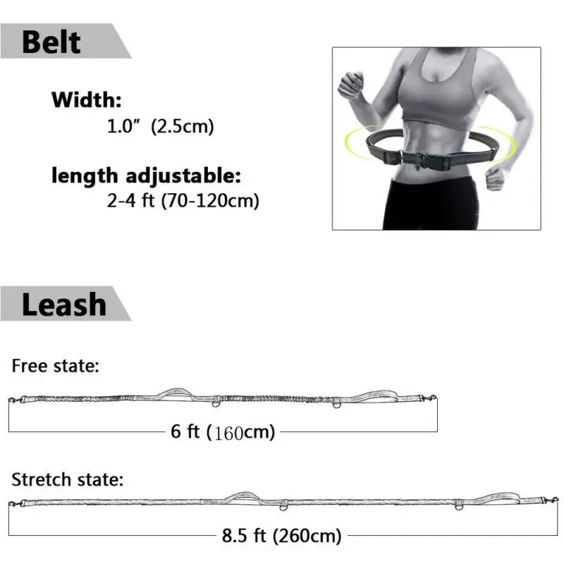 Reflective Leash Traction Rope Pet Dog Running Belt-ROROZ PETSUPPLIER