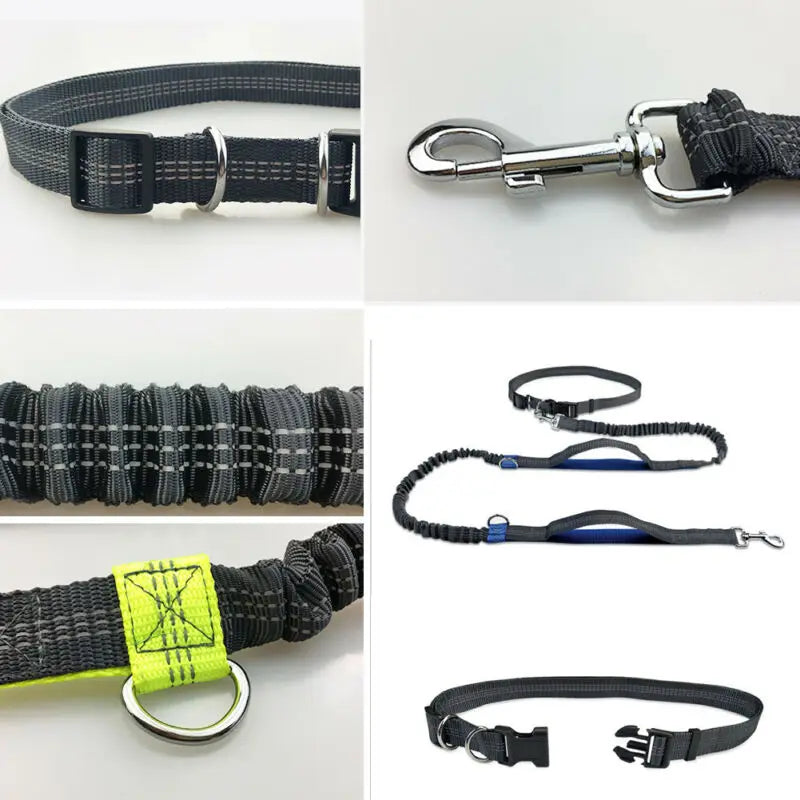 Reflective Leash Traction Rope Pet Dog Running Belt-ROROZ PETSUPPLIER