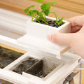 Mini fish landscape creative small tropical tank-ROROZ PETSUPPLIER