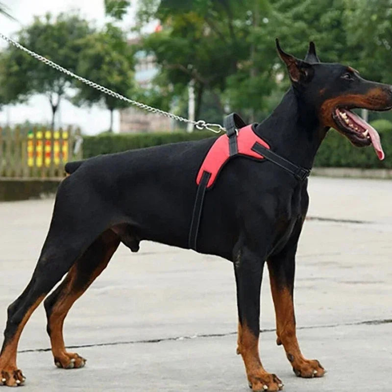 Pet Adjustable Harness Small and Large Dog Harness Vest-ROROZ PETSUPPLIER