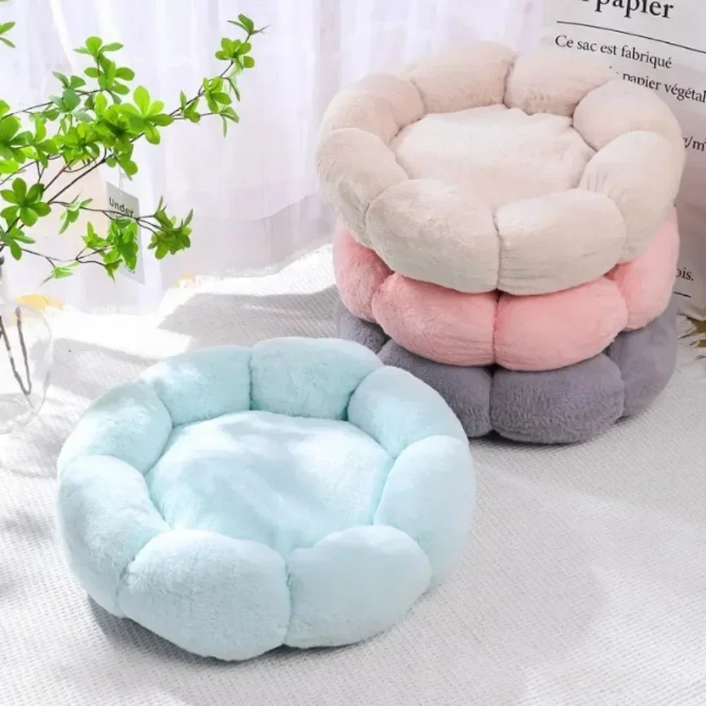 Cat Mat for Comfortable Sleep Pet Bed-ROROZ PETSUPPLIER