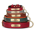 Personalized Dog Collar Custom Engraved PU Leather-ROROZ PETSUPPLIER