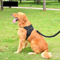 Pet Adjustable Harness Small and Large Dog Harness Vest-ROROZ PETSUPPLIER