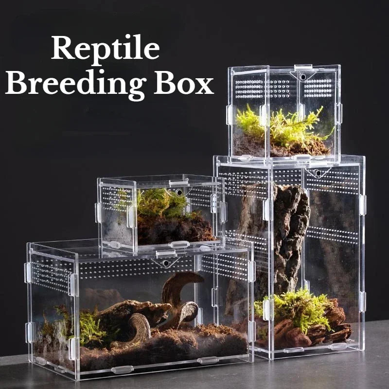 Reptile Habitat Terrarium Breeding Box-ROROZ PETSUPPLIER