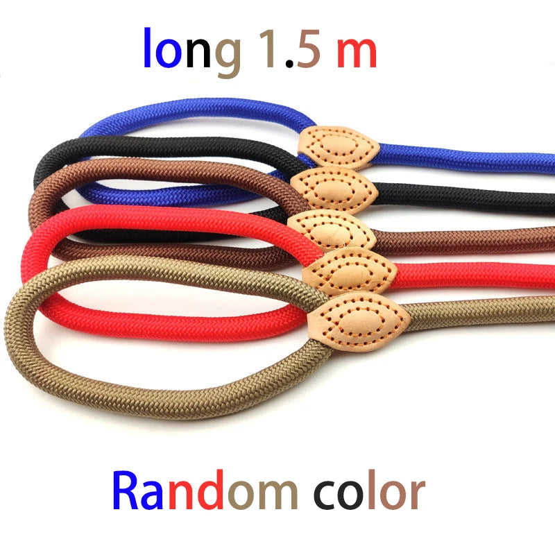 Adjustable Collar Harness Dog Leash-ROROZ PETSUPPLIER