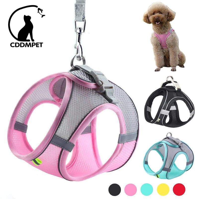 Harness Leash Set for Small Dogs-ROROZ PETSUPPLIER