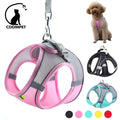 Harness Leash Set for Small Dogs-ROROZ PETSUPPLIER