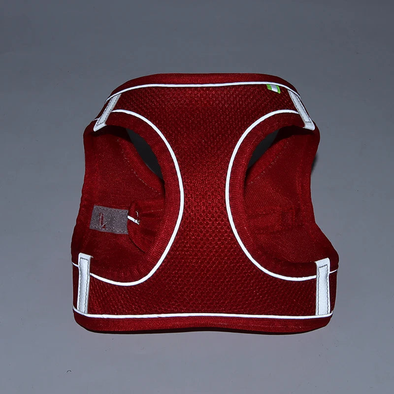 Harness Leash Set for Small Dogs-ROROZ PETSUPPLIER