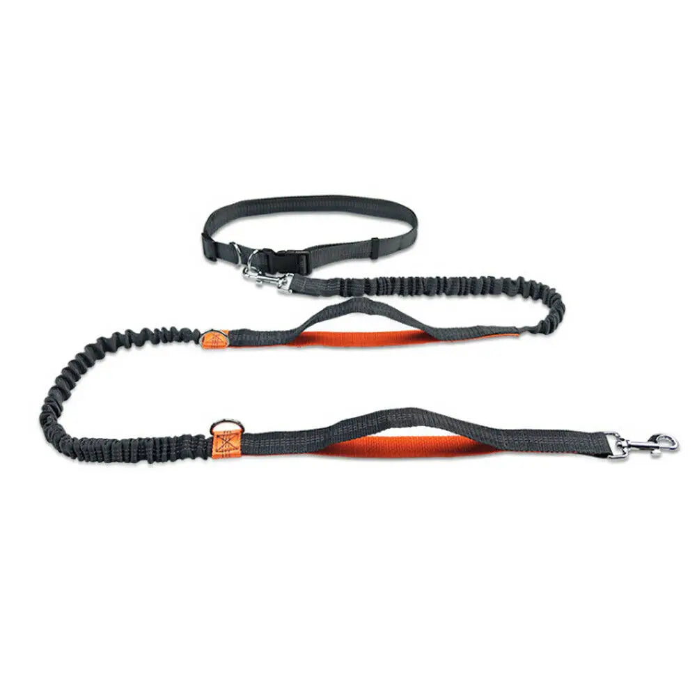 Reflective Leash Traction Rope Pet Dog Running Belt-ROROZ PETSUPPLIER