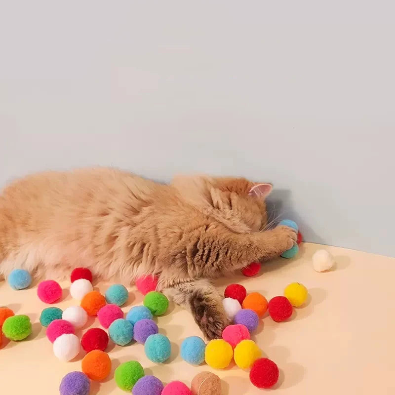 Interactive Launch Training Cat Toys-ROROZ PETSUPPLIER