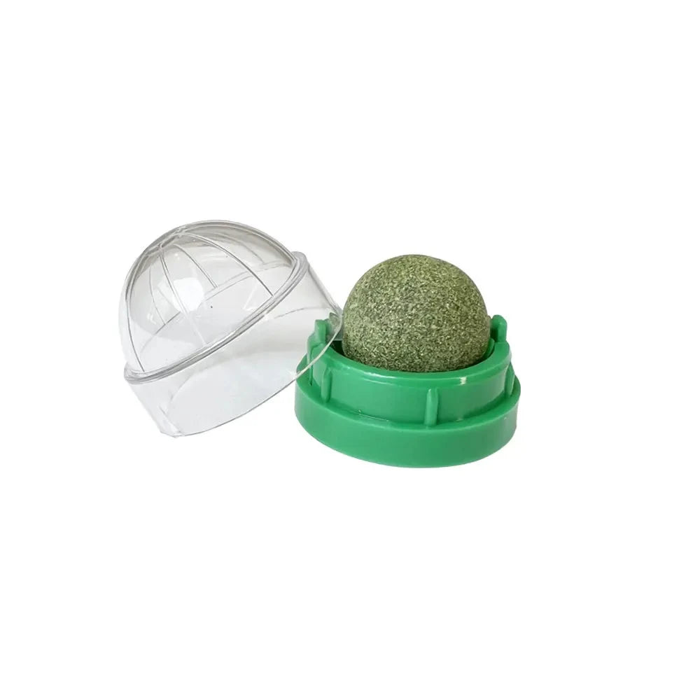 Natural Catnip Cat Wall Stick-on Ball Toy-ROROZ PETSUPPLIER
