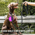 Strong Dog Leash Pet Leashes-ROROZ PETSUPPLIER