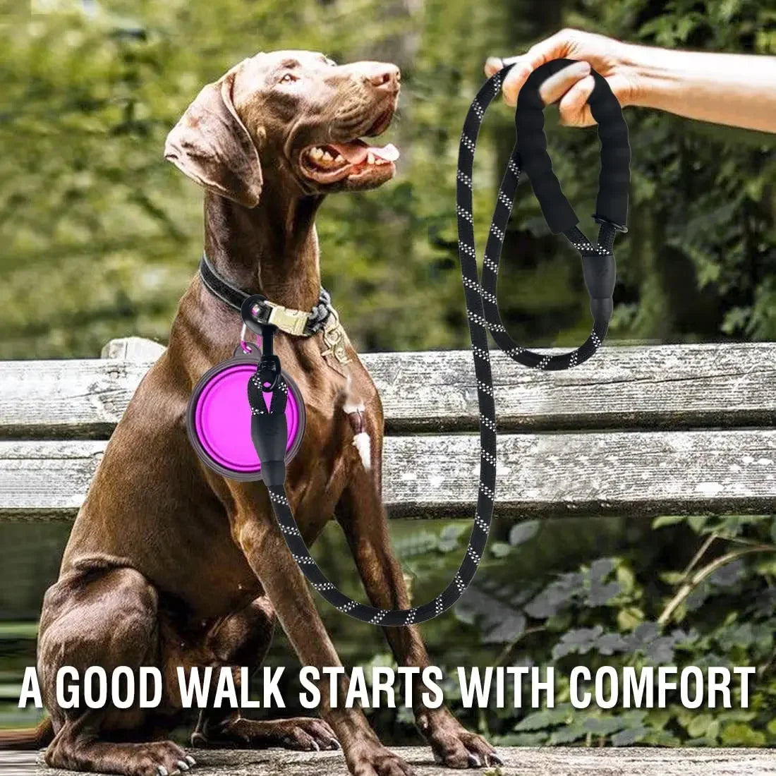 Strong Dog Leash Pet Leashes-ROROZ PETSUPPLIER