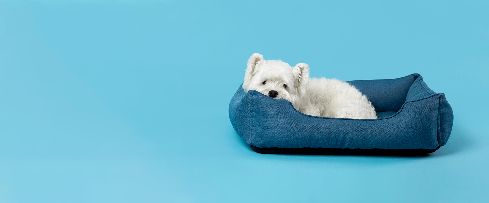 slider image 1621243260e1af0c20-0